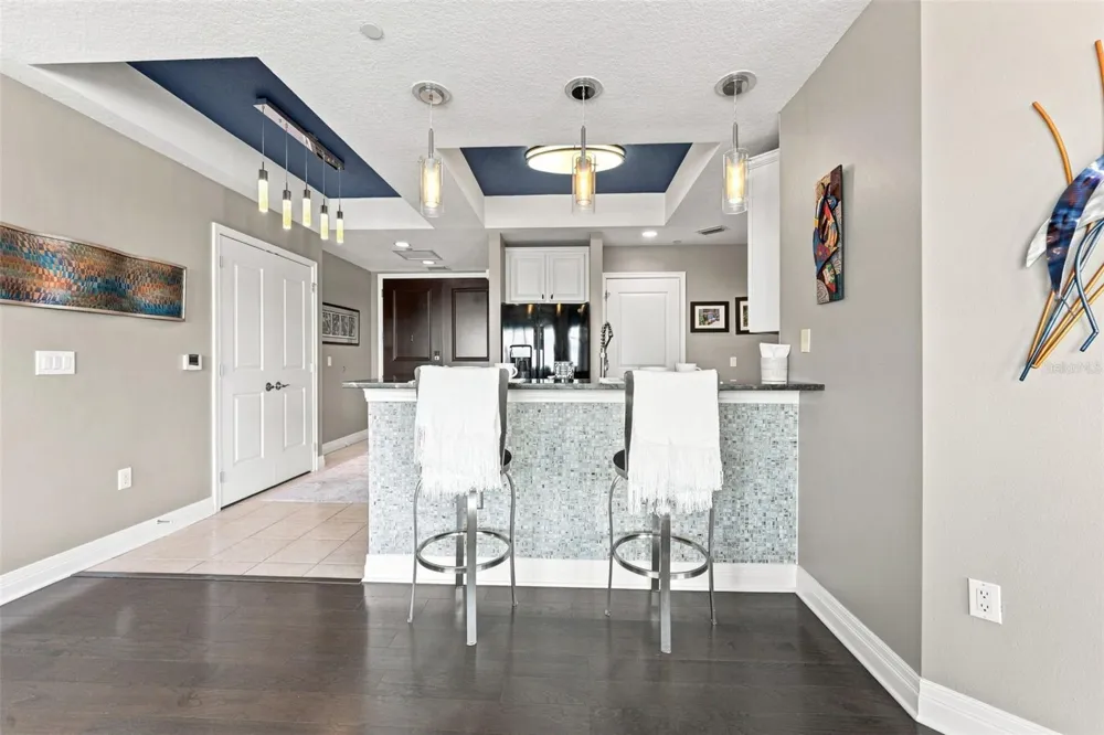 1209 E CUMBERLAND AVENUE #1404 Tampa, FL 33602