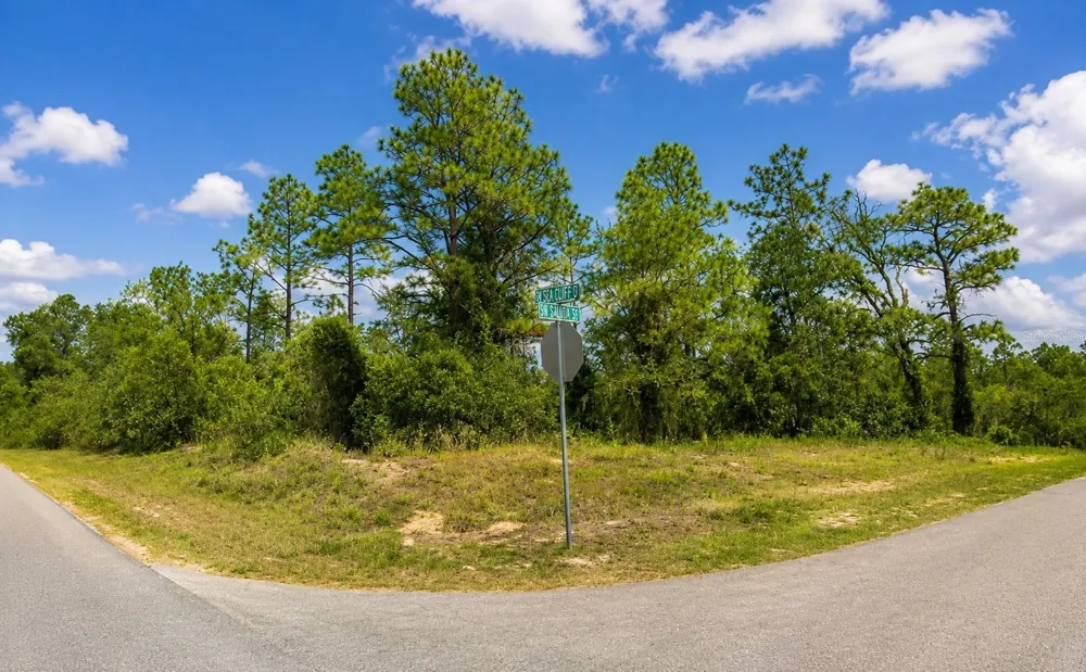 SW SEA CLIFF AVE Dunnellon, FL 34431