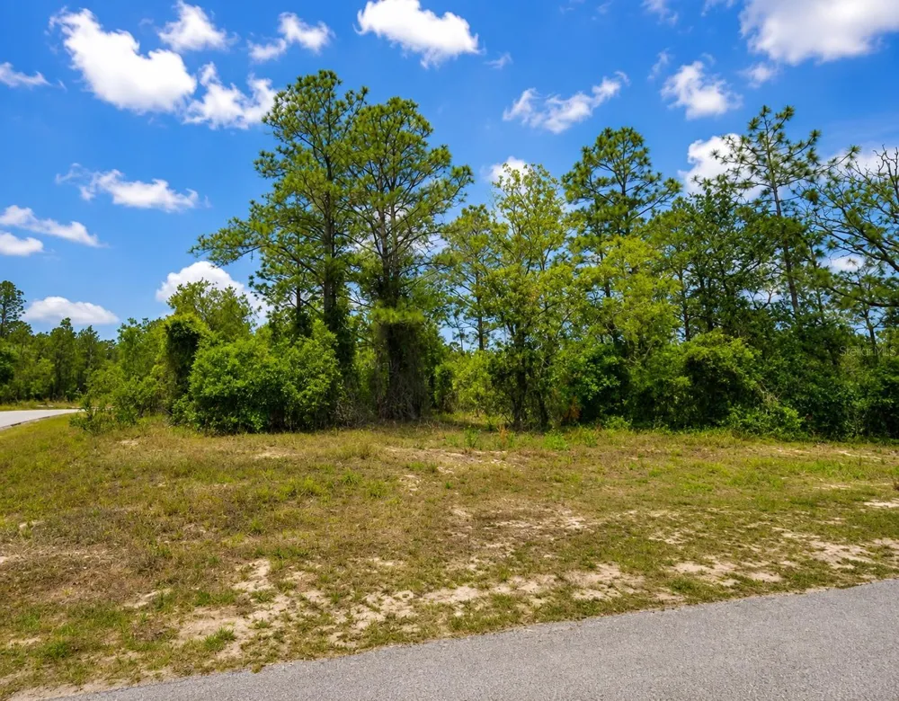 SW SEA CLIFF AVE Dunnellon, FL 34431
