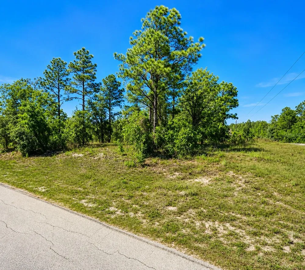 SW SEA CLIFF AVE Dunnellon, FL 34431