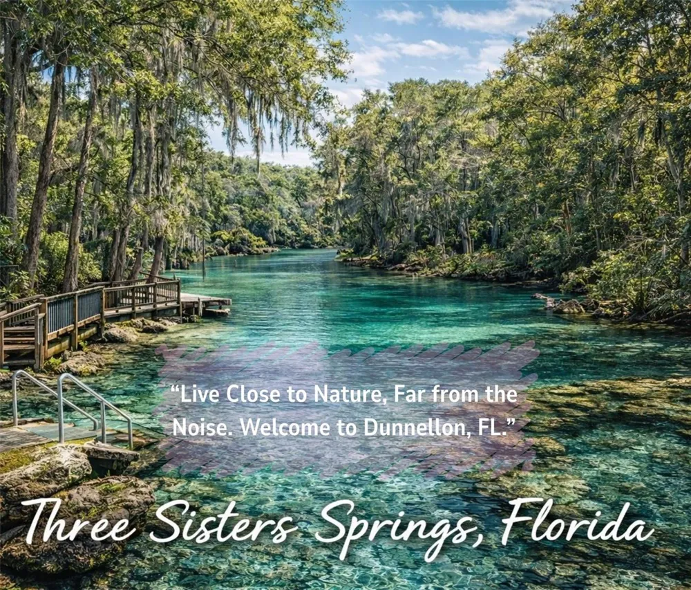 SW SEA CLIFF AVE Dunnellon, FL 34431