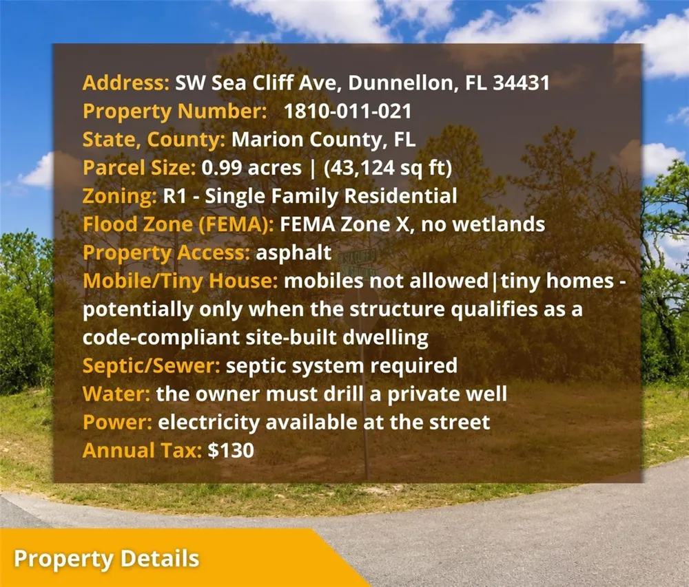 SW SEA CLIFF AVE Dunnellon, FL 34431