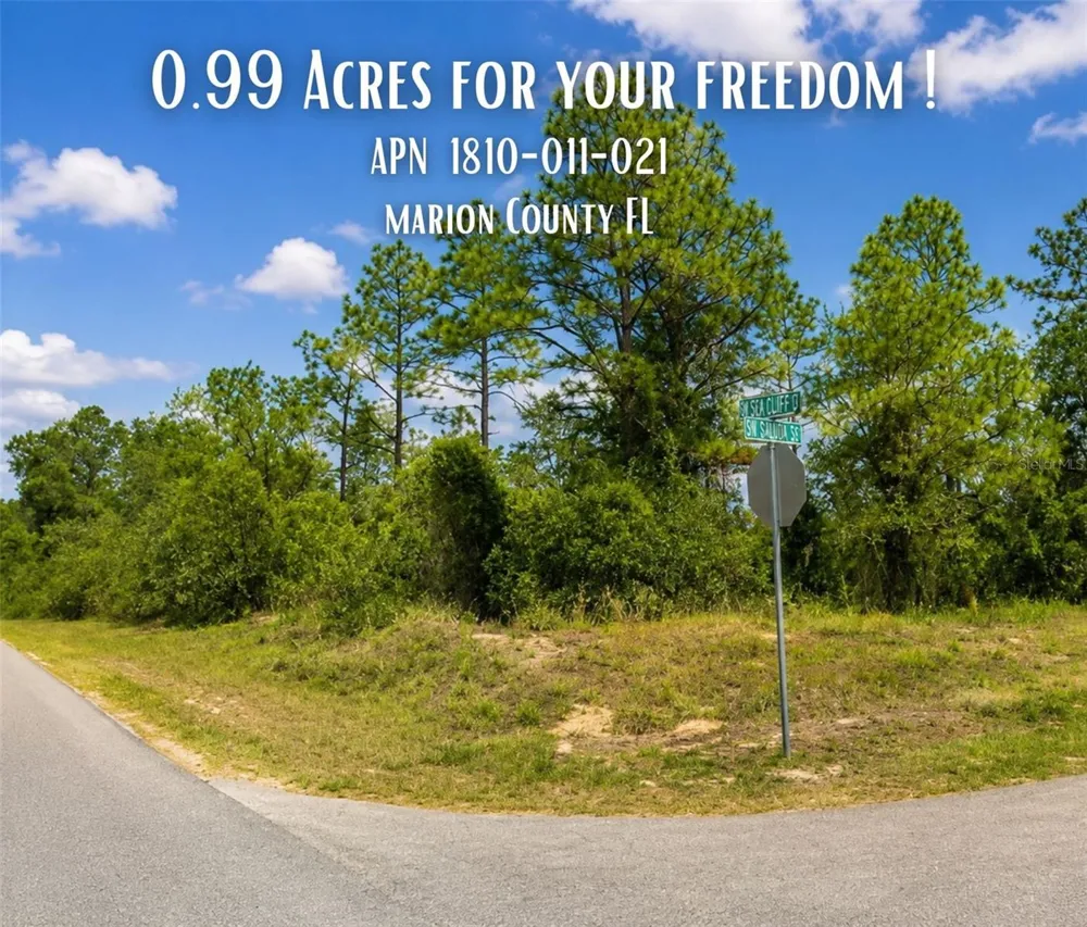SW SEA CLIFF AVE Dunnellon, FL 34431