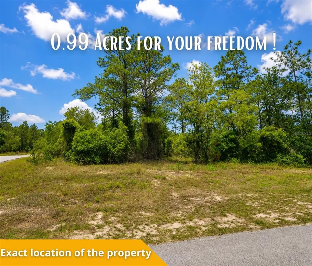 SW SEA CLIFF AVE Dunnellon, FL 34431