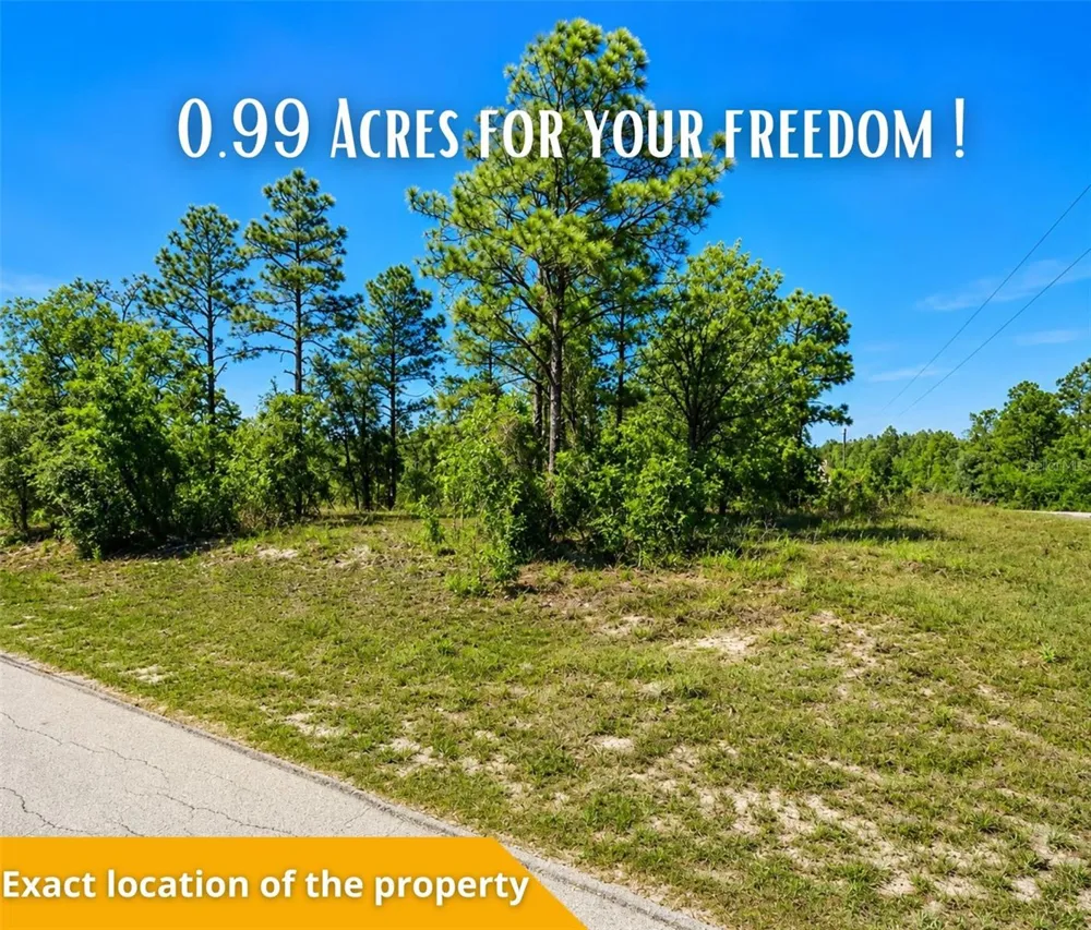 SW SEA CLIFF AVE Dunnellon, FL 34431