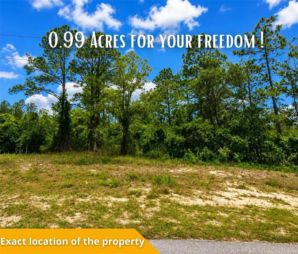 SW SEA CLIFF AVE Dunnellon, FL 34431