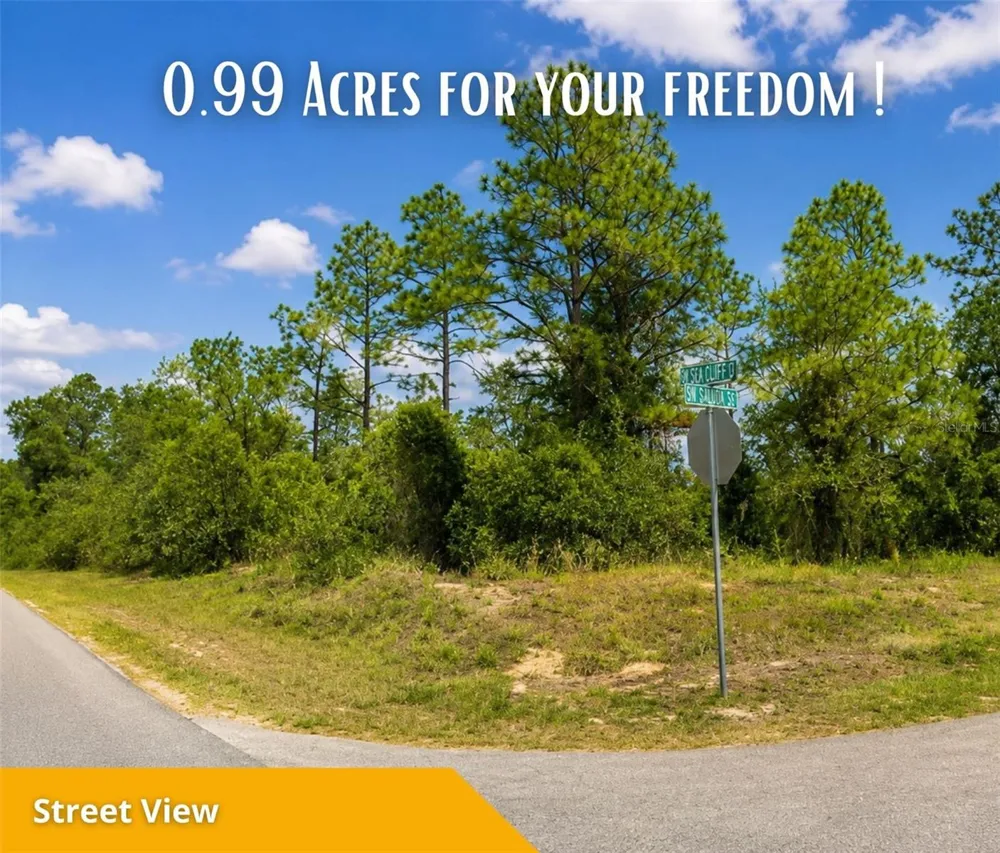 SW SEA CLIFF AVE Dunnellon, FL 34431