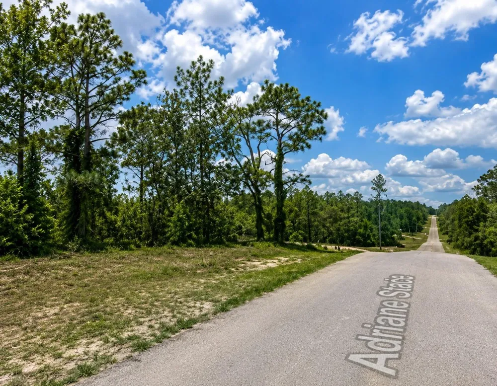 SW SEA CLIFF AVE Dunnellon, FL 34431