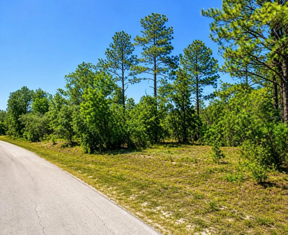 SW SEA CLIFF AVE Dunnellon, FL 34431