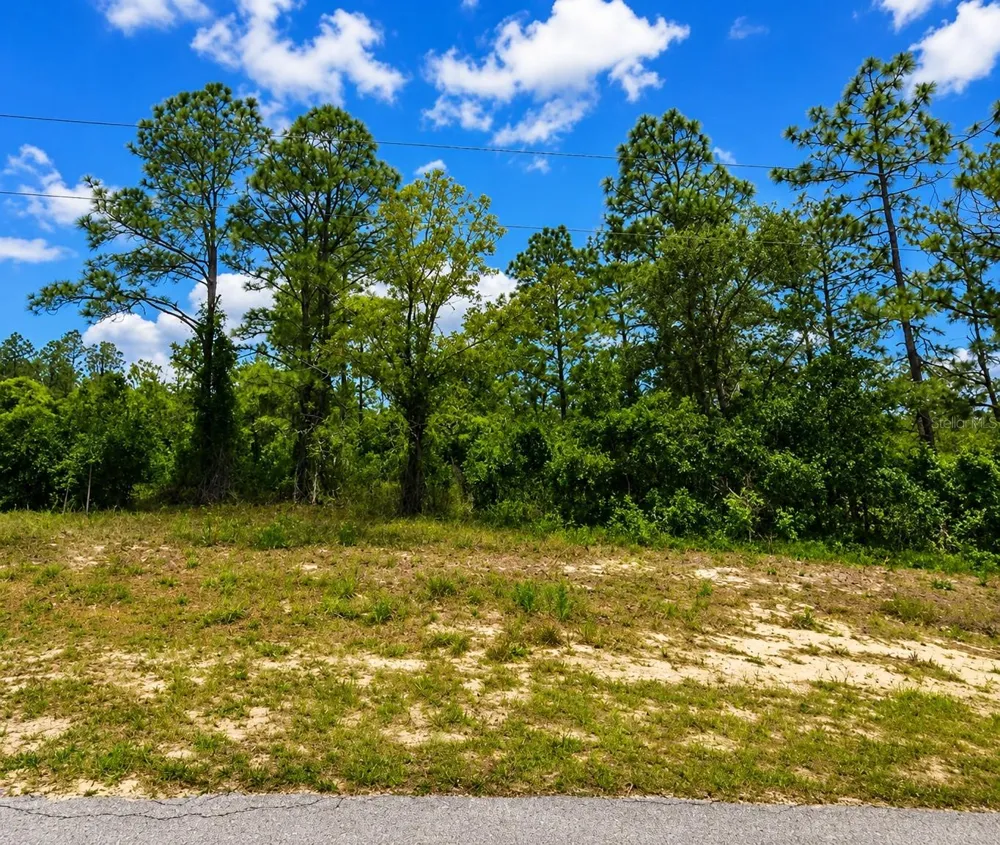 SW SEA CLIFF AVE Dunnellon, FL 34431