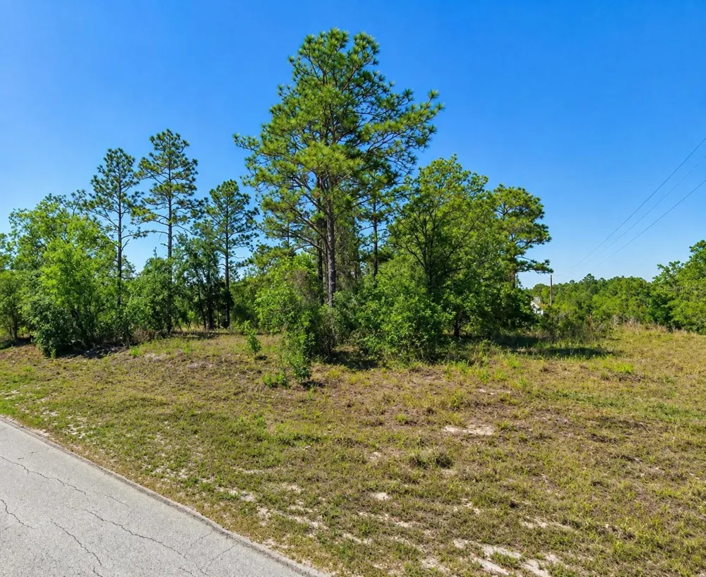 SW SEA CLIFF AVE Dunnellon, FL 34431