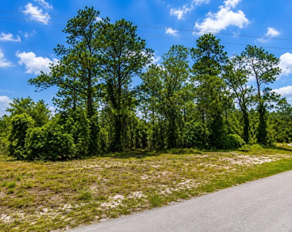SW SEA CLIFF AVE Dunnellon, FL 34431