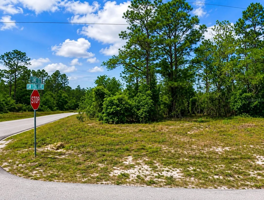 SW SEA CLIFF AVE Dunnellon, FL 34431