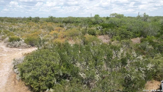 12654 HIGHWAY 339 Benavides, TX 78349