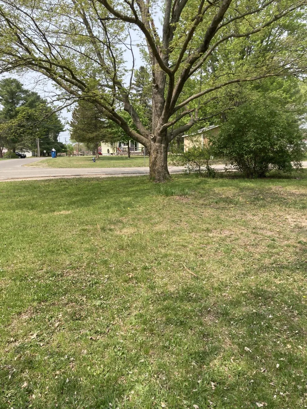 316 W Washington Street Evart, MI 49631