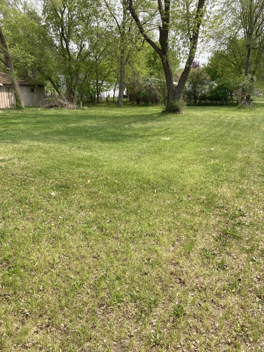 316 W Washington Street Evart, MI 49631