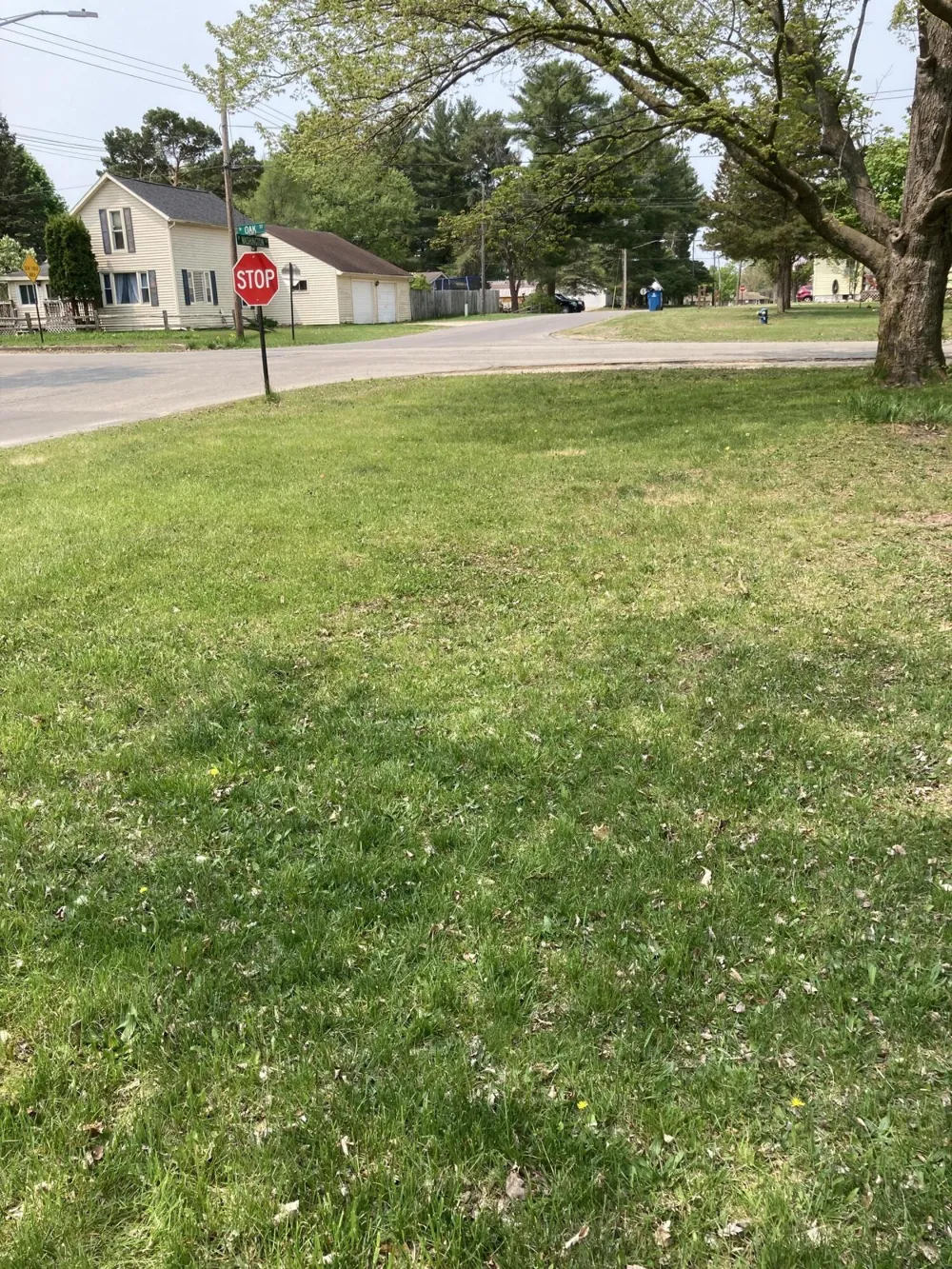 316 W Washington Street Evart, MI 49631