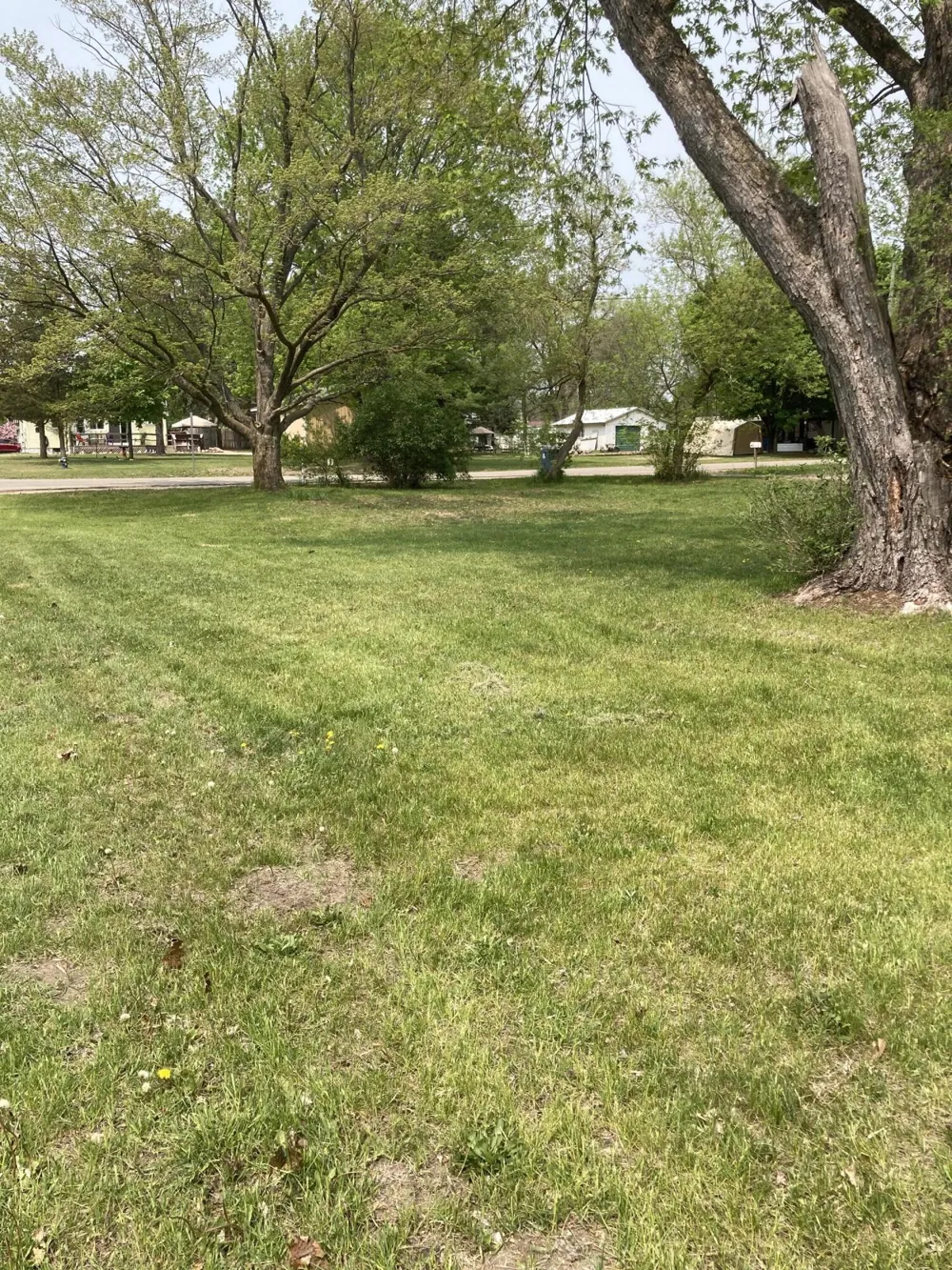316 W Washington Street Evart, MI 49631