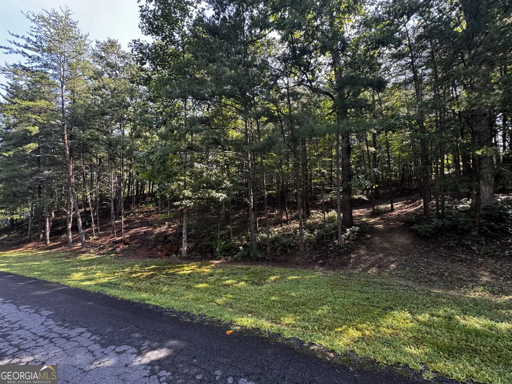 0 Rainbow Circle Cleveland, GA 30528