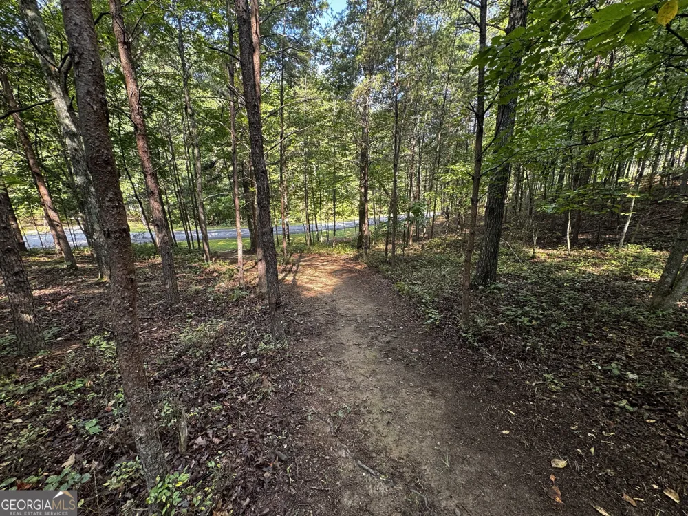 0 Rainbow Circle Cleveland, GA 30528