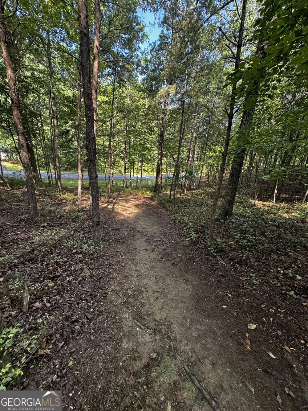 0 Rainbow Circle Cleveland, GA 30528