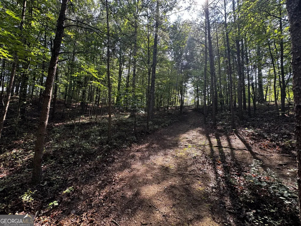 0 Rainbow Circle Cleveland, GA 30528