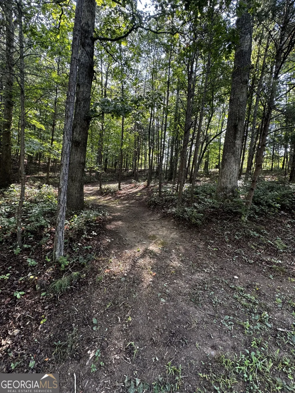 0 Rainbow Circle Cleveland, GA 30528