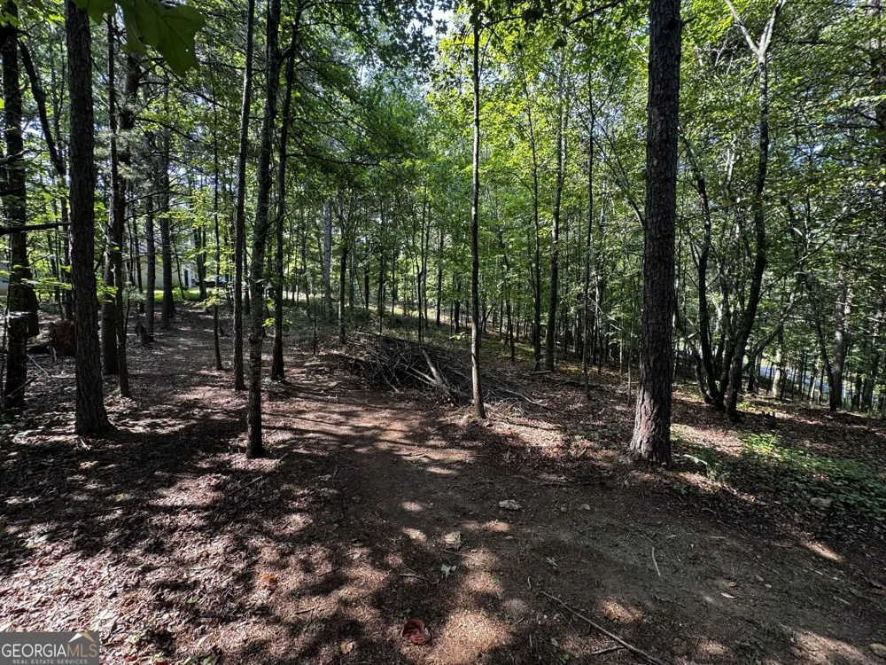 0 Rainbow Circle Cleveland, GA 30528