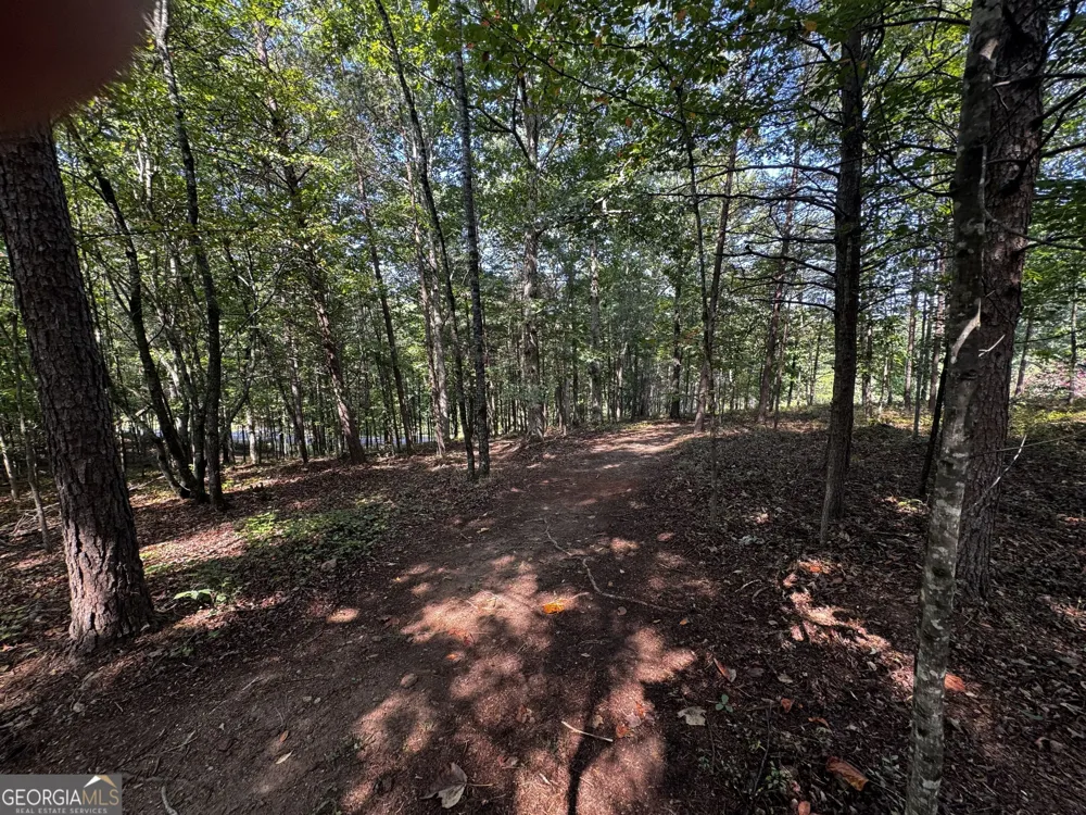 0 Rainbow Circle Cleveland, GA 30528
