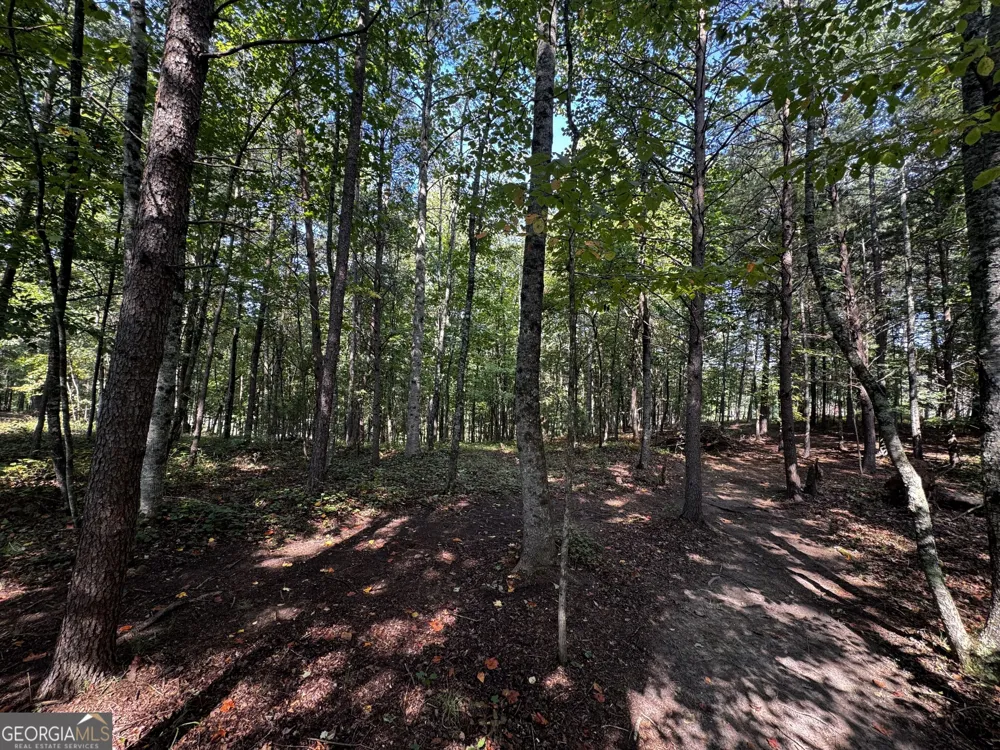 0 Rainbow Circle Cleveland, GA 30528
