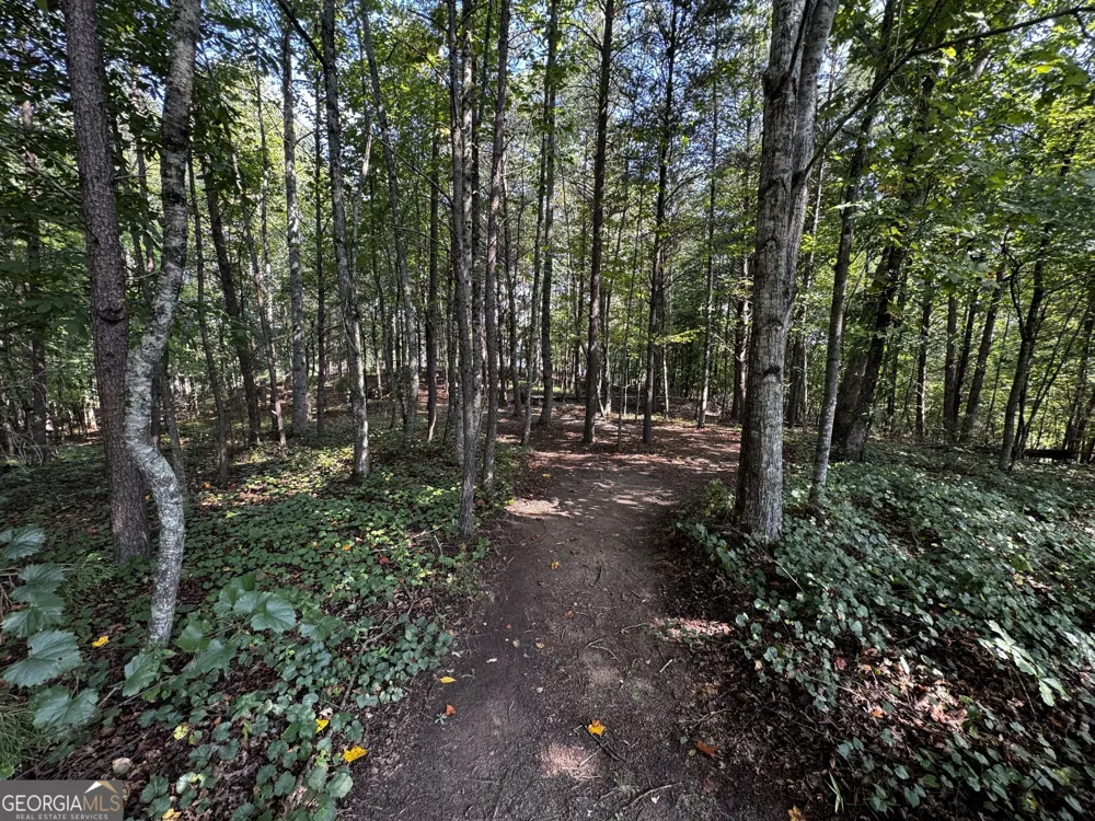 0 Rainbow Circle Cleveland, GA 30528