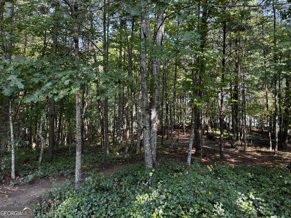 0 Rainbow Circle Cleveland, GA 30528