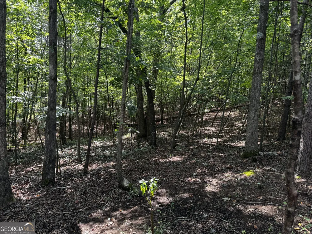 0 Rainbow Circle Cleveland, GA 30528