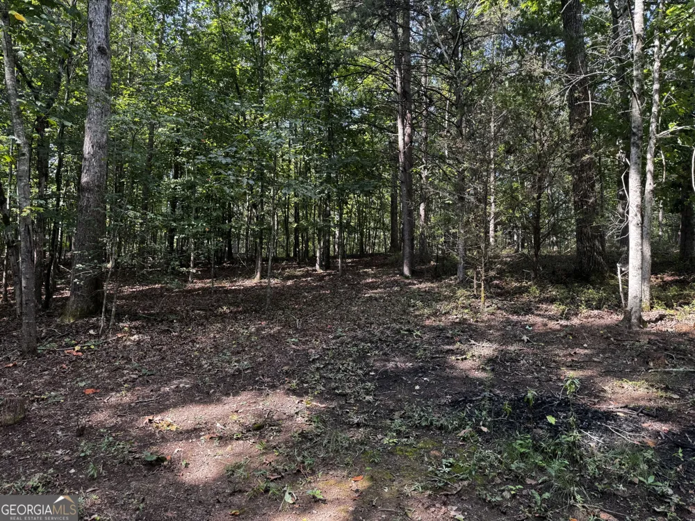 0 Rainbow Circle Cleveland, GA 30528
