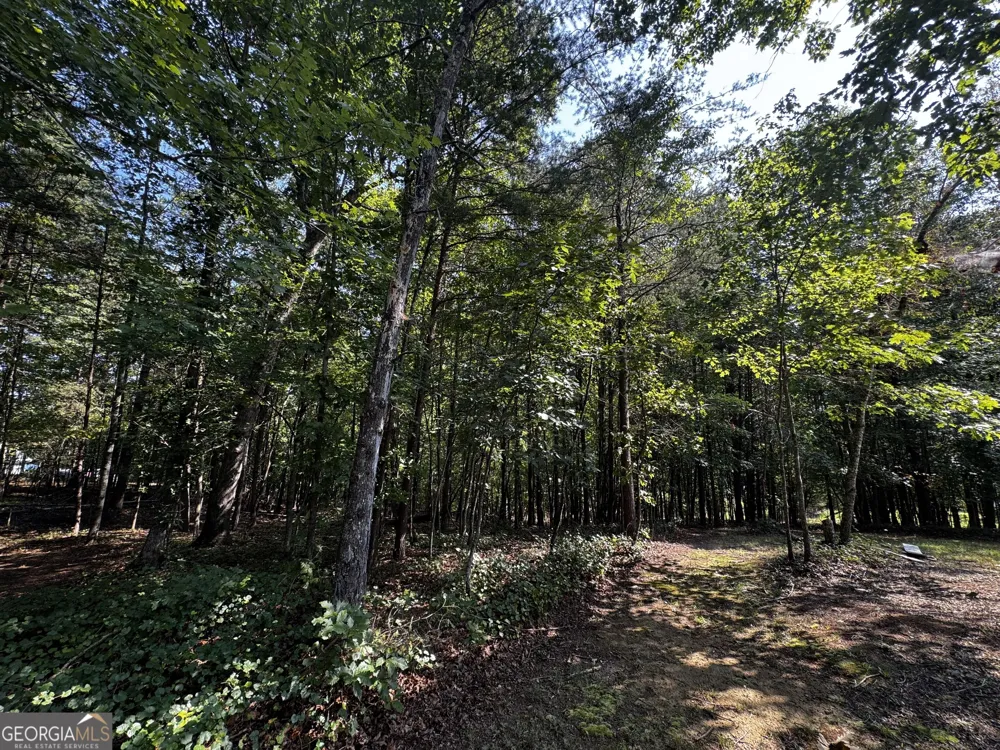 0 Rainbow Circle Cleveland, GA 30528