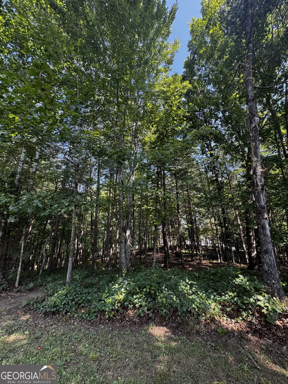 0 Rainbow Circle Cleveland, GA 30528