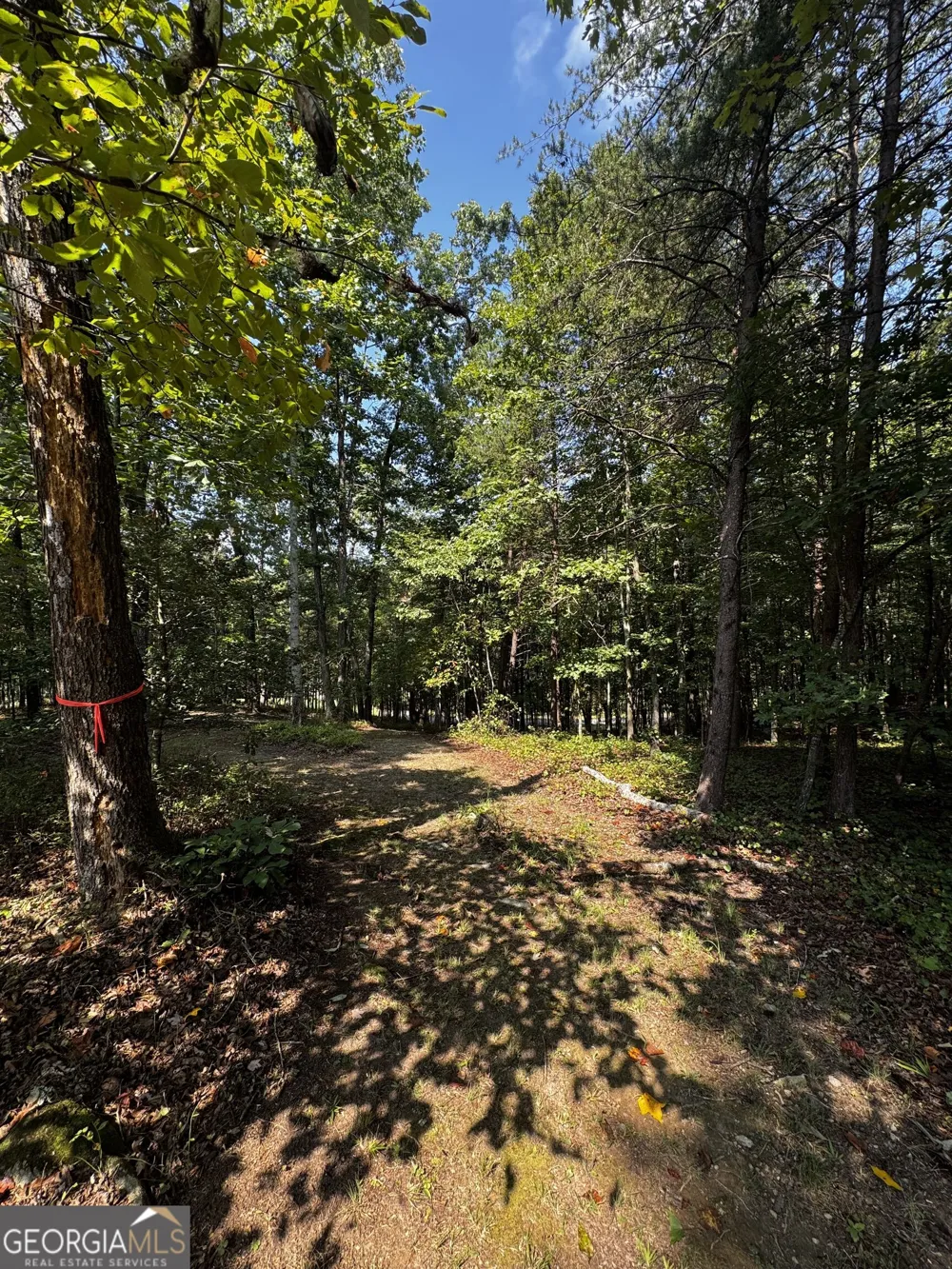 0 Rainbow Circle Cleveland, GA 30528