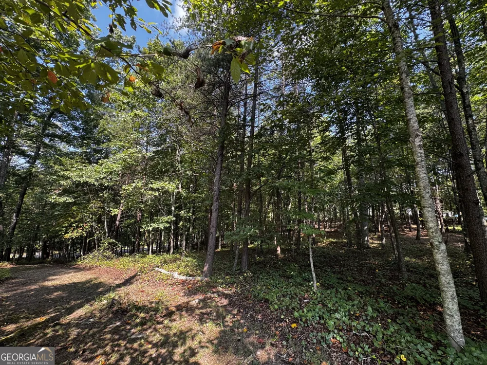 0 Rainbow Circle Cleveland, GA 30528