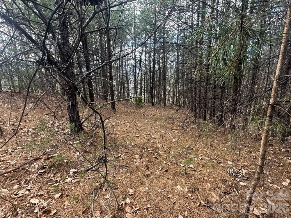 0000 Boulder Ridge Lake Lure, NC 28746