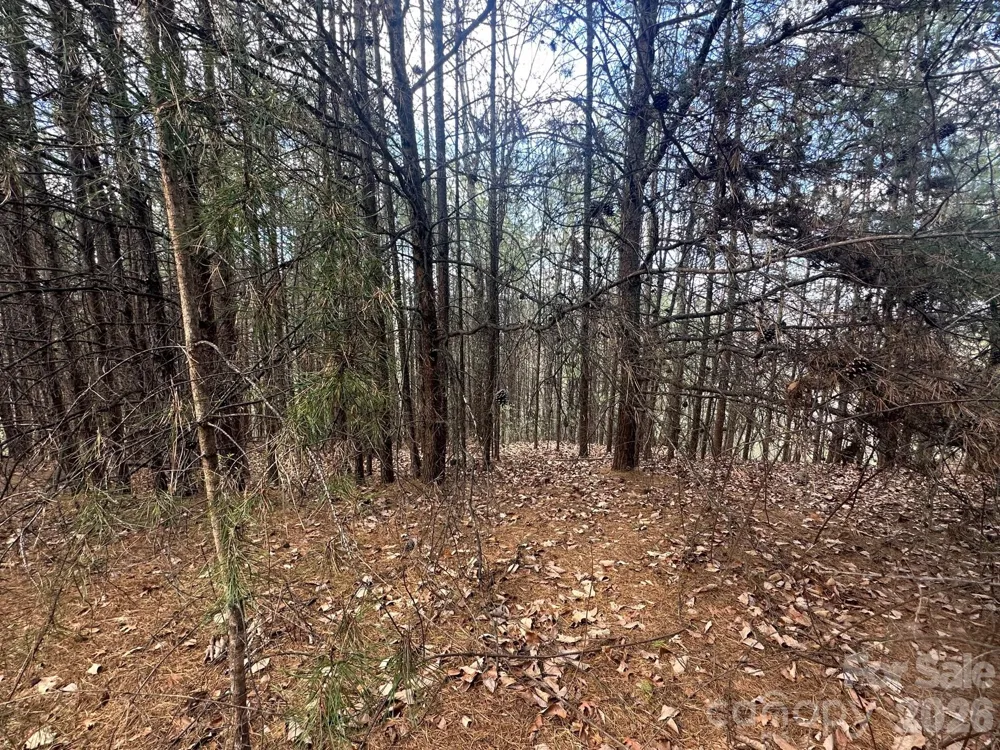 0000 Boulder Ridge Lake Lure, NC 28746