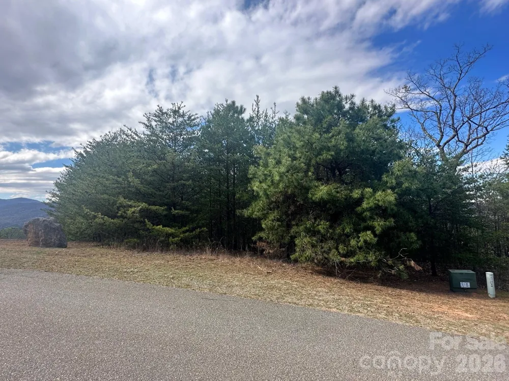 0000 Boulder Ridge Lake Lure, NC 28746