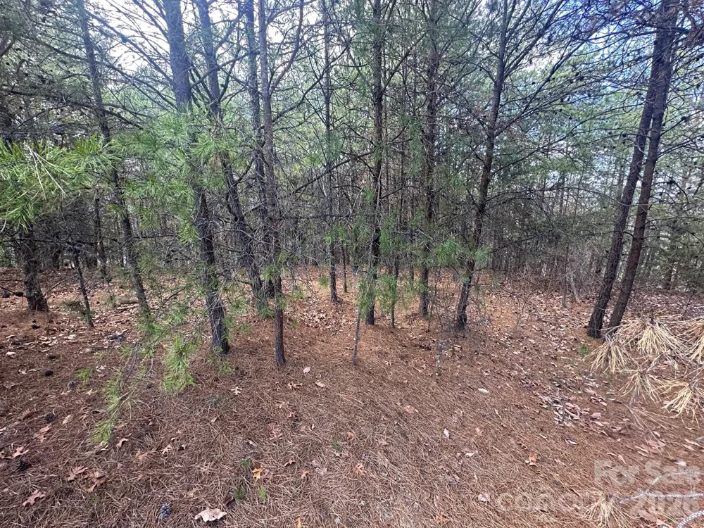 0000 Boulder Ridge Lake Lure, NC 28746