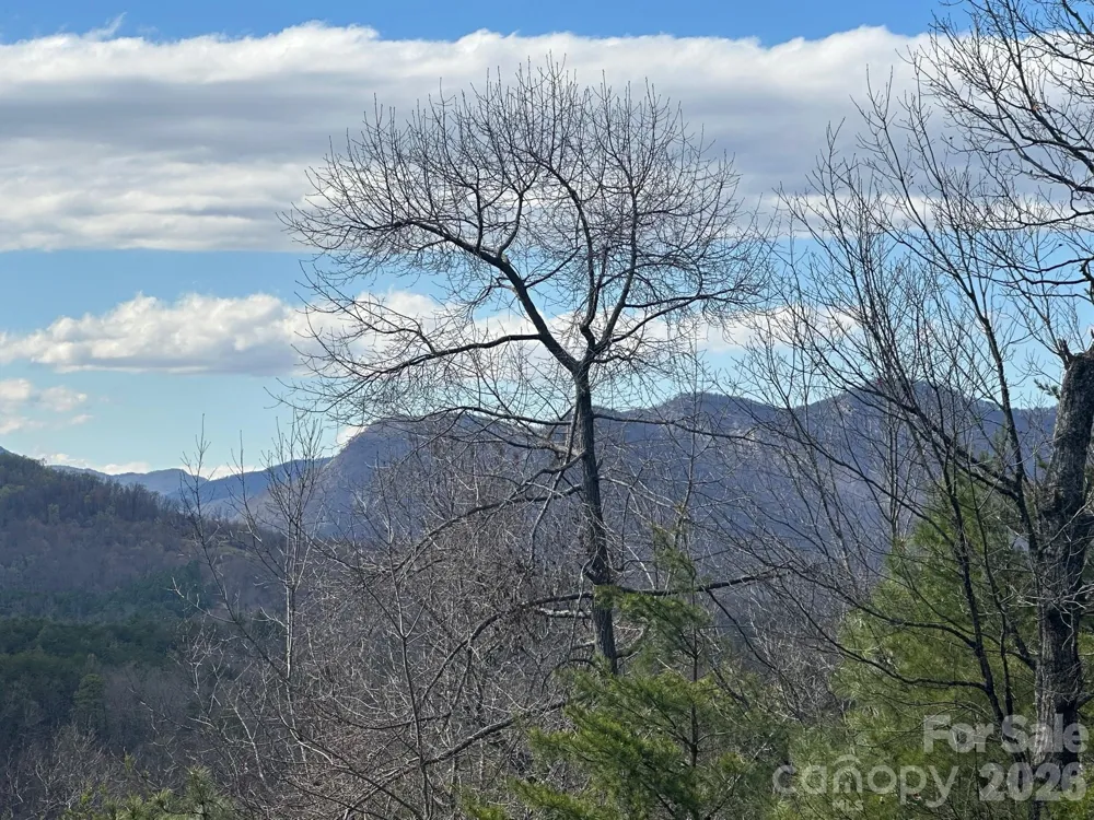 0000 Boulder Ridge Lake Lure, NC 28746