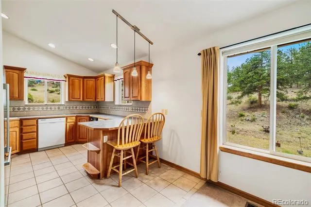122 W Cline Drive Shawnee, CO 80475