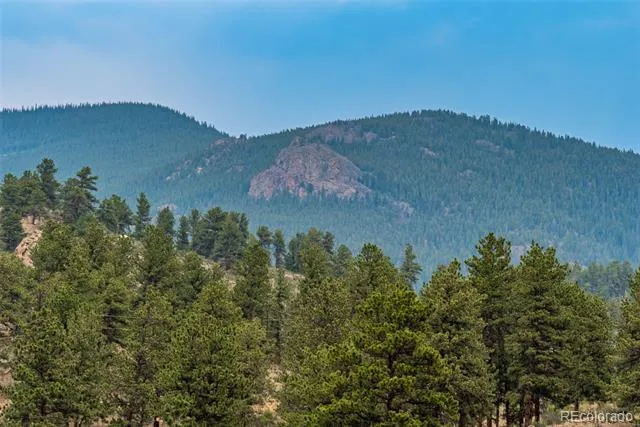 122 W Cline Drive Shawnee, CO 80475