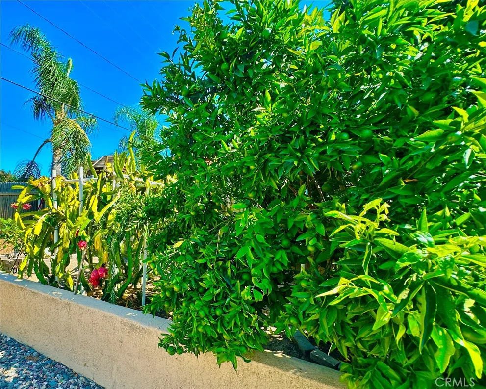 1012 Farel Diamond Bar, CA 91789