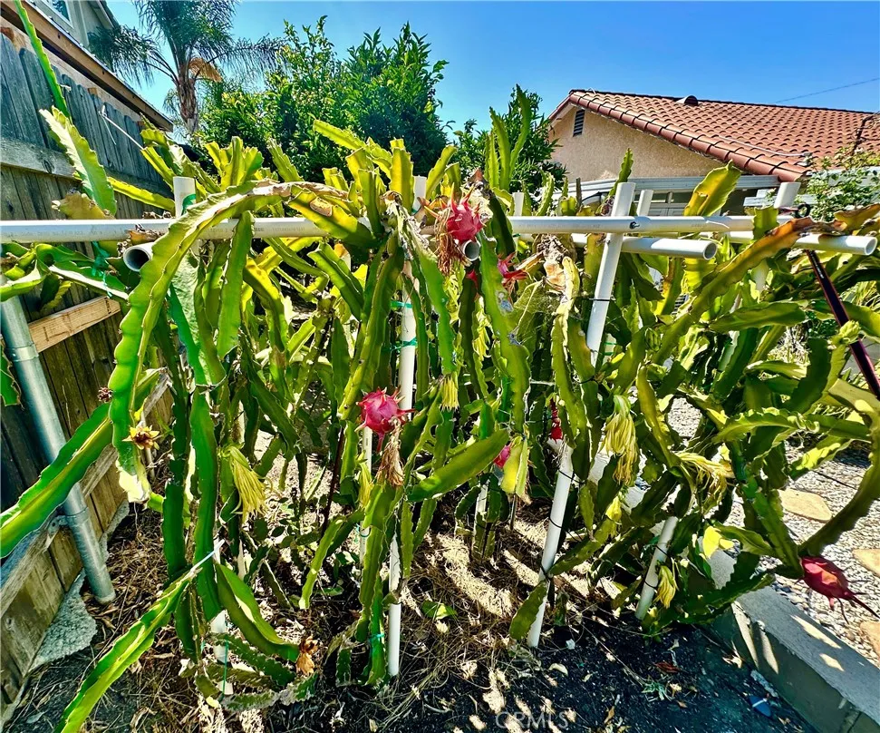 1012 Farel Diamond Bar, CA 91789