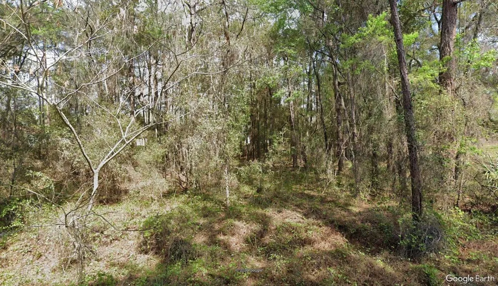 14525 SW 21ST PLACE ocala, FL 34481
