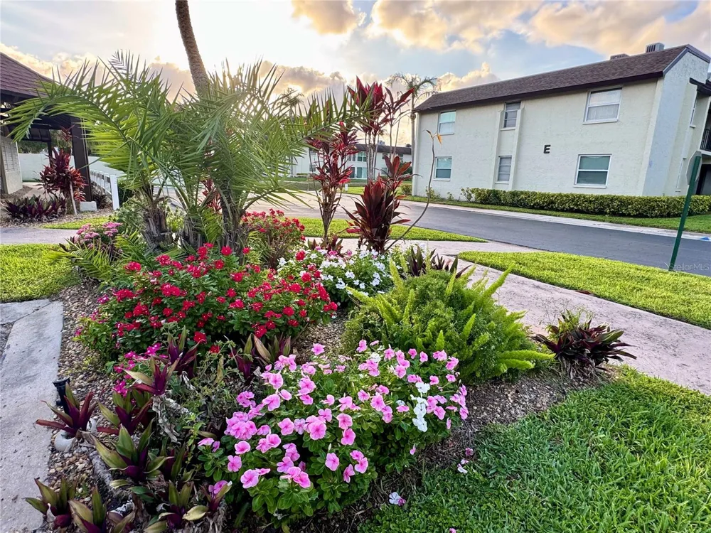 1100 E BAY DRIVE #3 Largo, FL 33770
