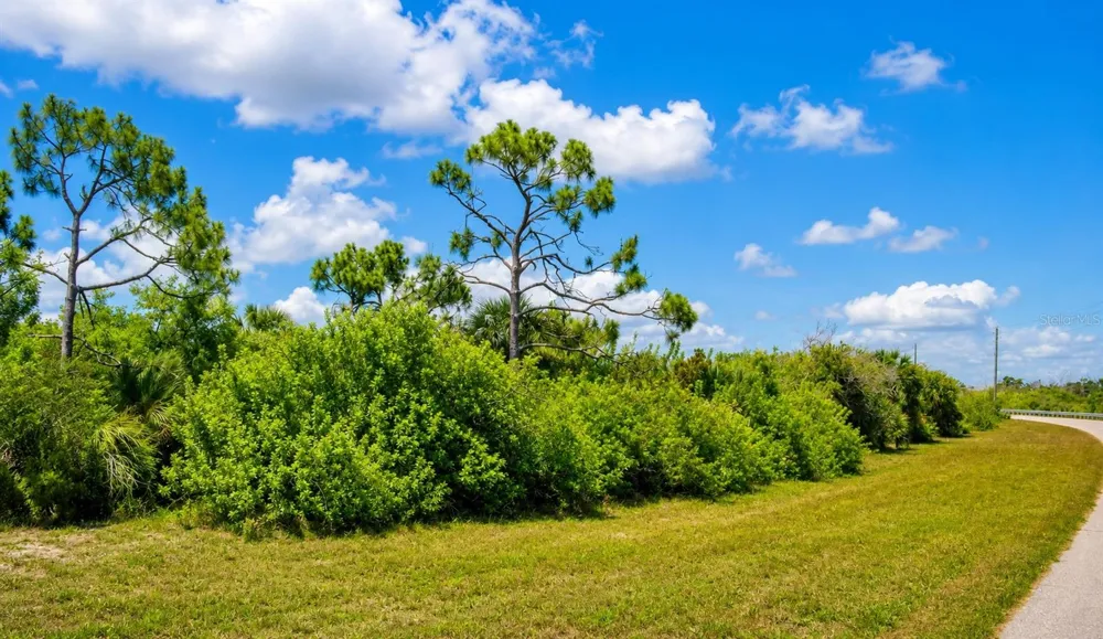 14135 WARMOUTH DR Placida, FL 33946